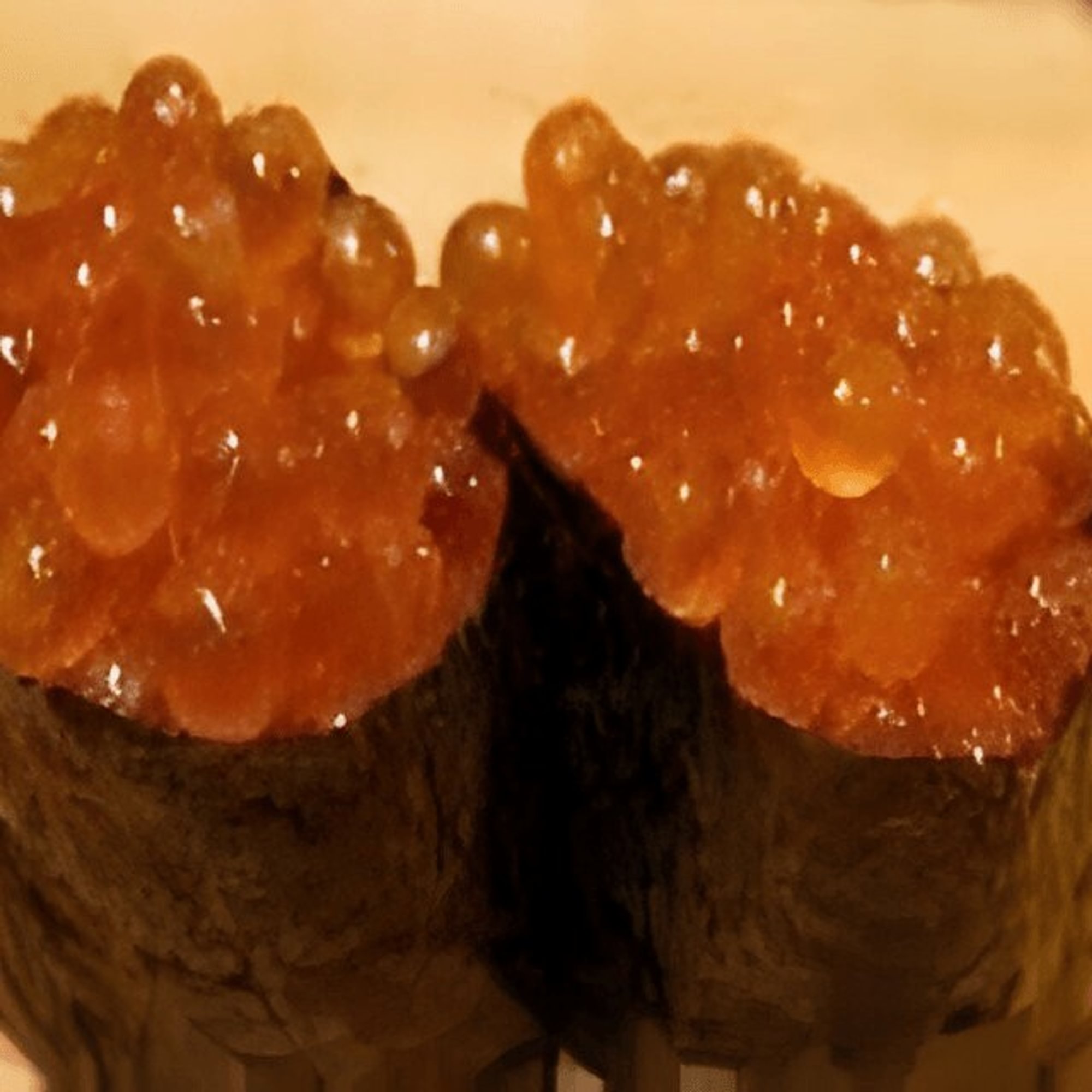 Salmon Roe/ Ikura Sushi (2pcs)