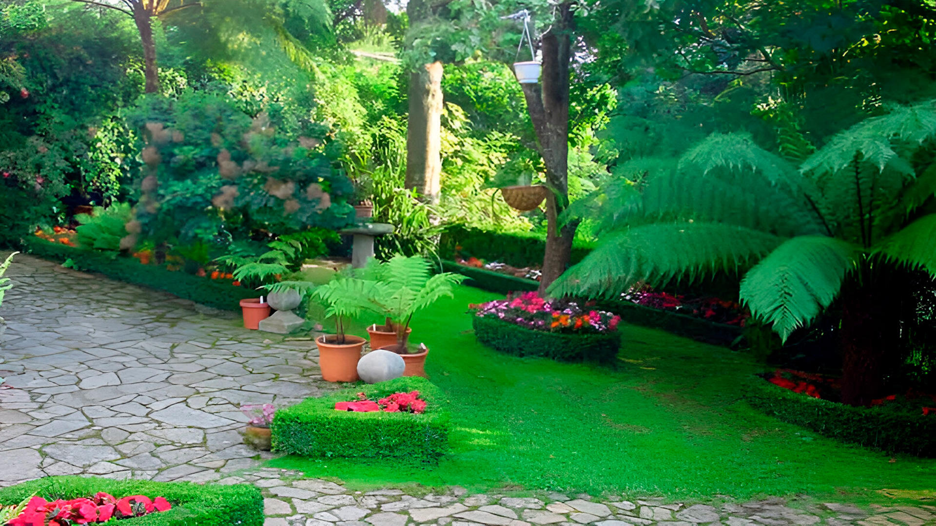 Galería en miniatura