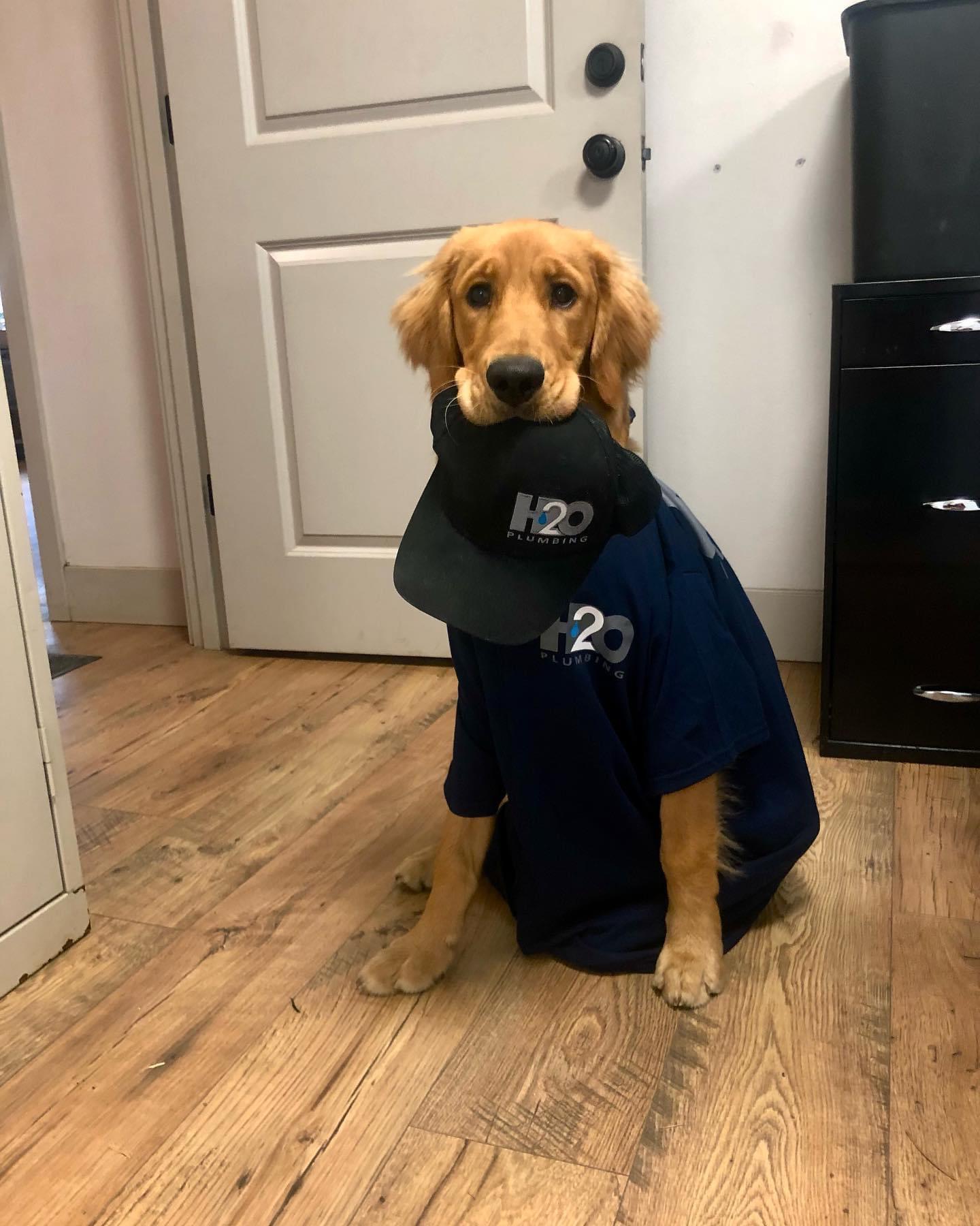 H2O Plumbing, LLC Image