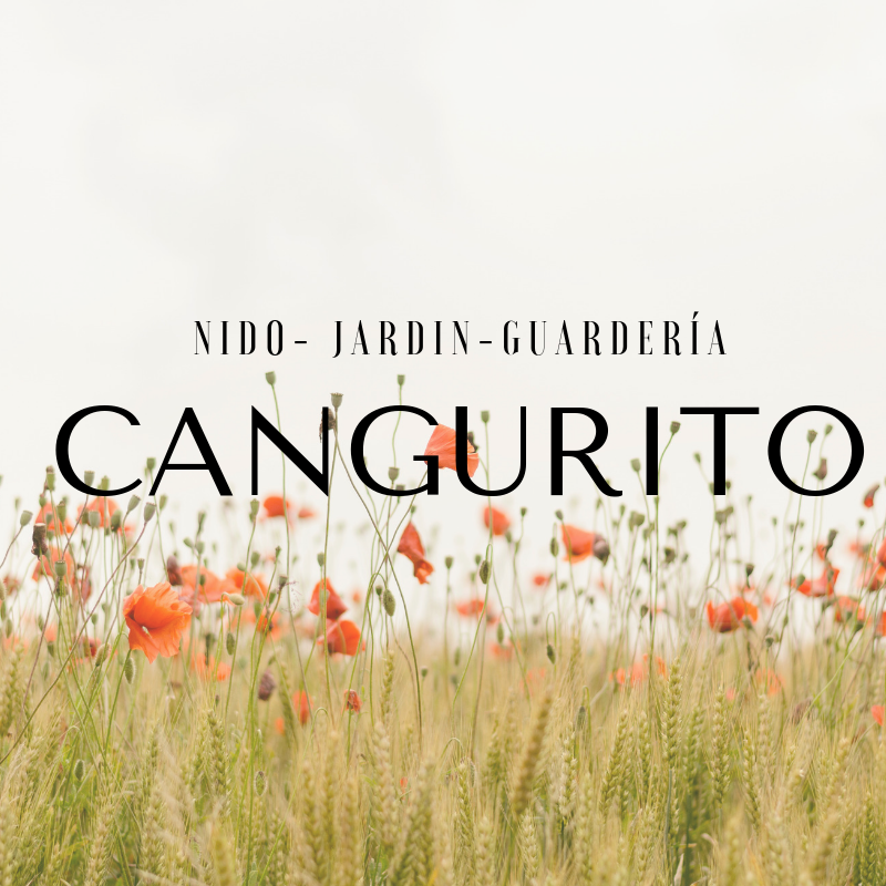 CANGURITO - Nido Arequipa
