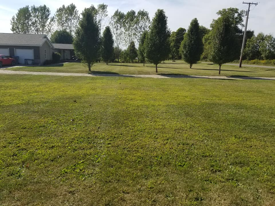 Back Hurt's Lawn Care Photo