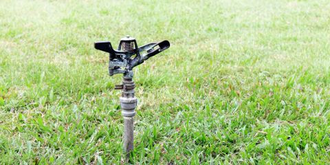 4 Types of Lawn Irrigation Systems