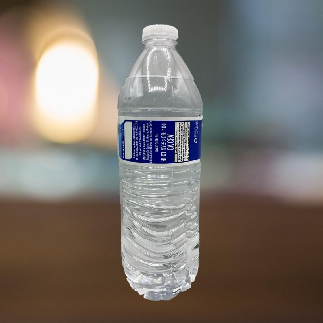 Bottled Water 16.9 oz