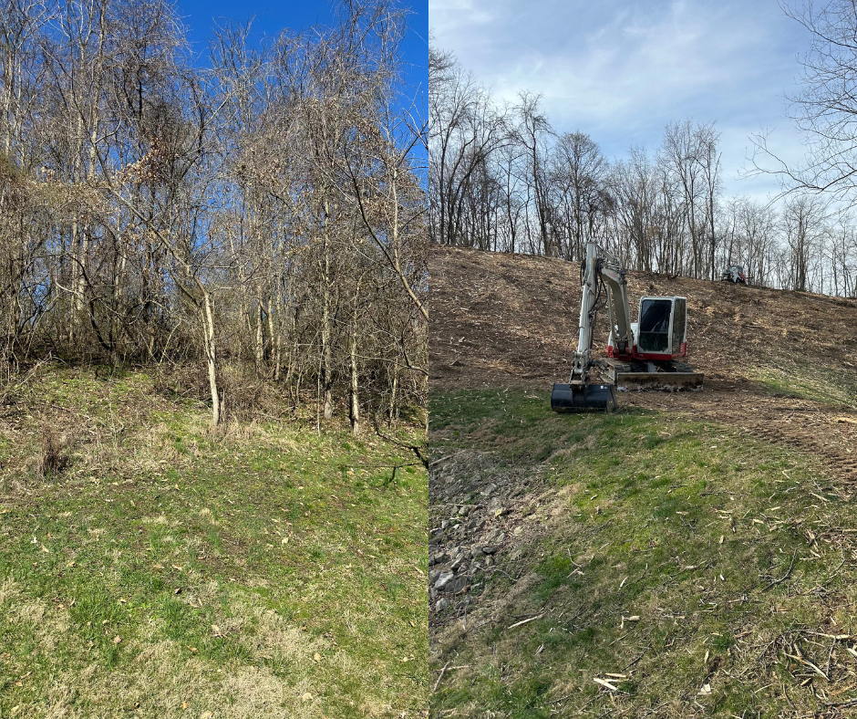 Yarger’s Forestry Services Image