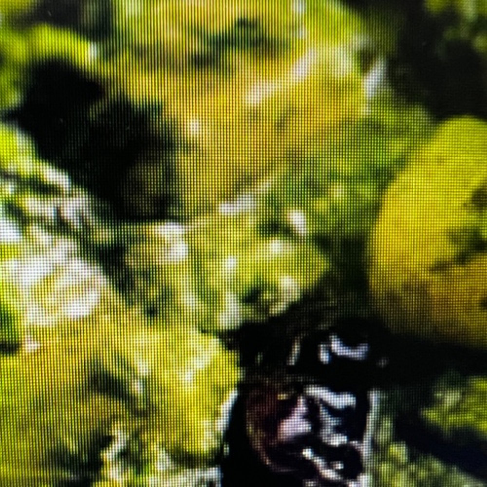 Goan Cafreal Tikka Kabobs