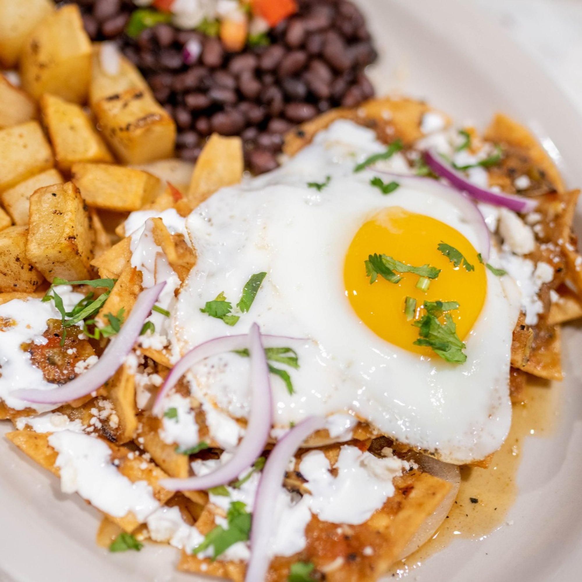 Chilaquiles Plate