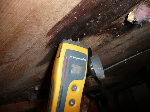 Images House To Home Inspections