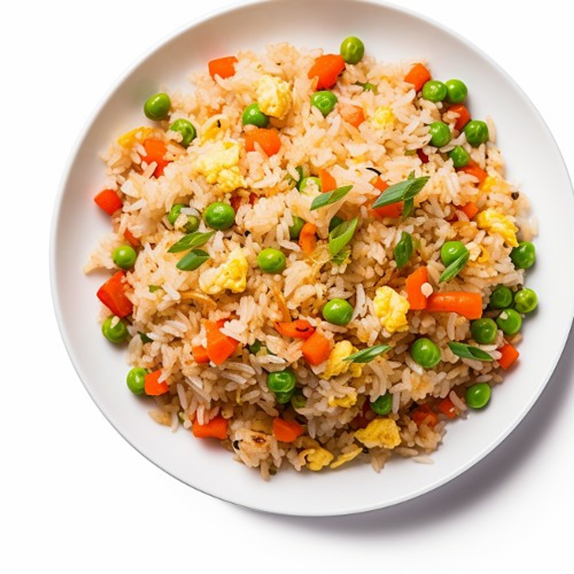 VEGETABLE FRIED RICE