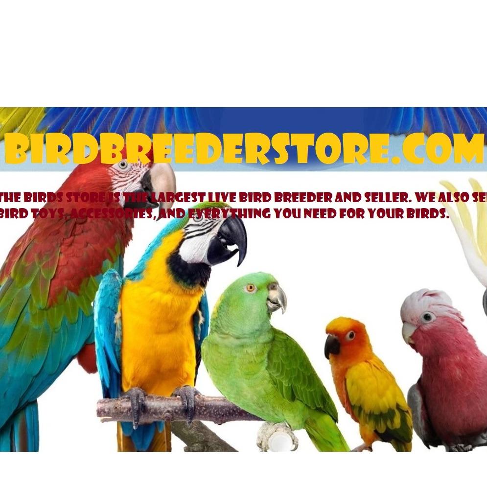 Bird Breeder Store Photo