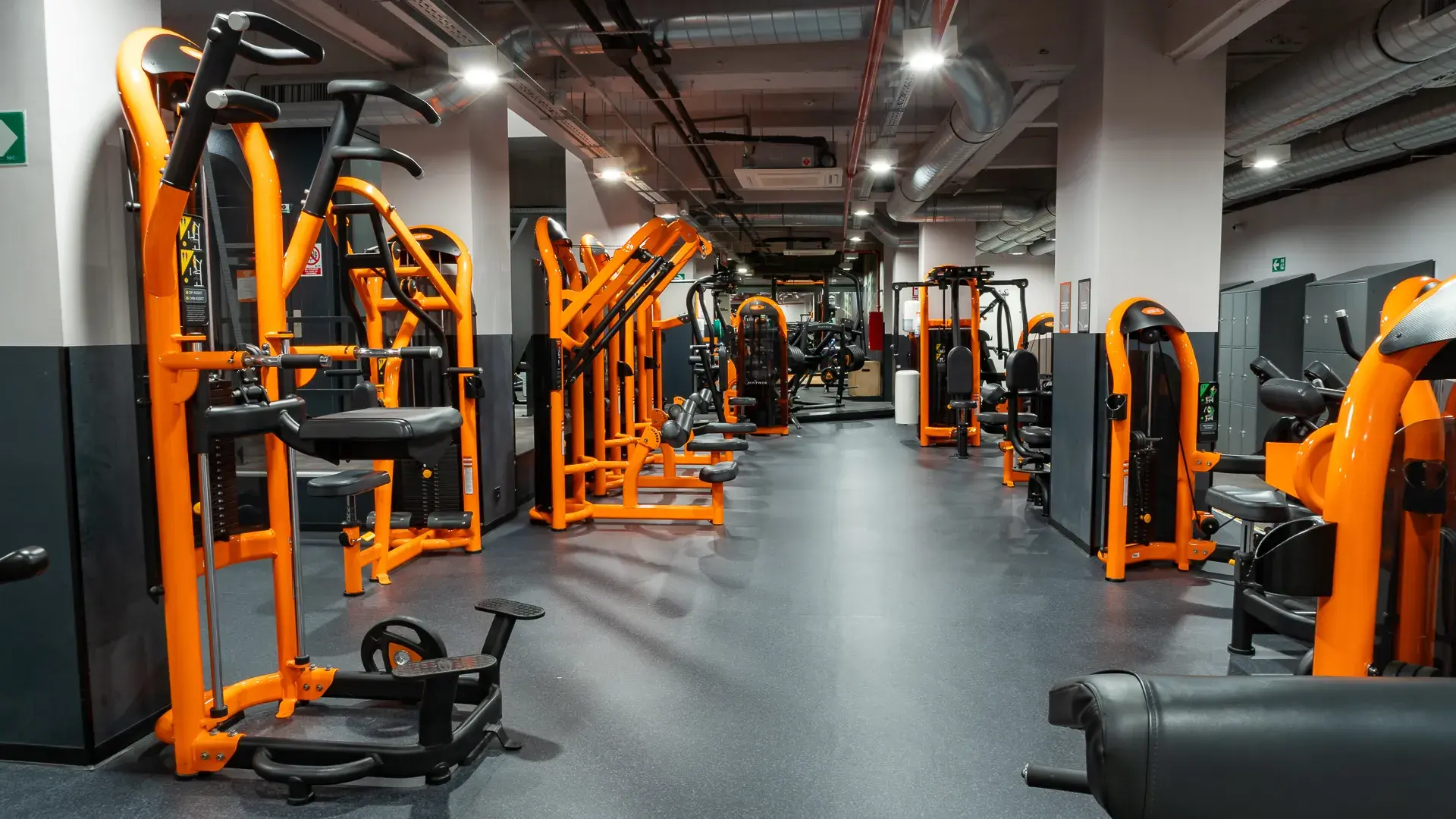 Galería de imágenes