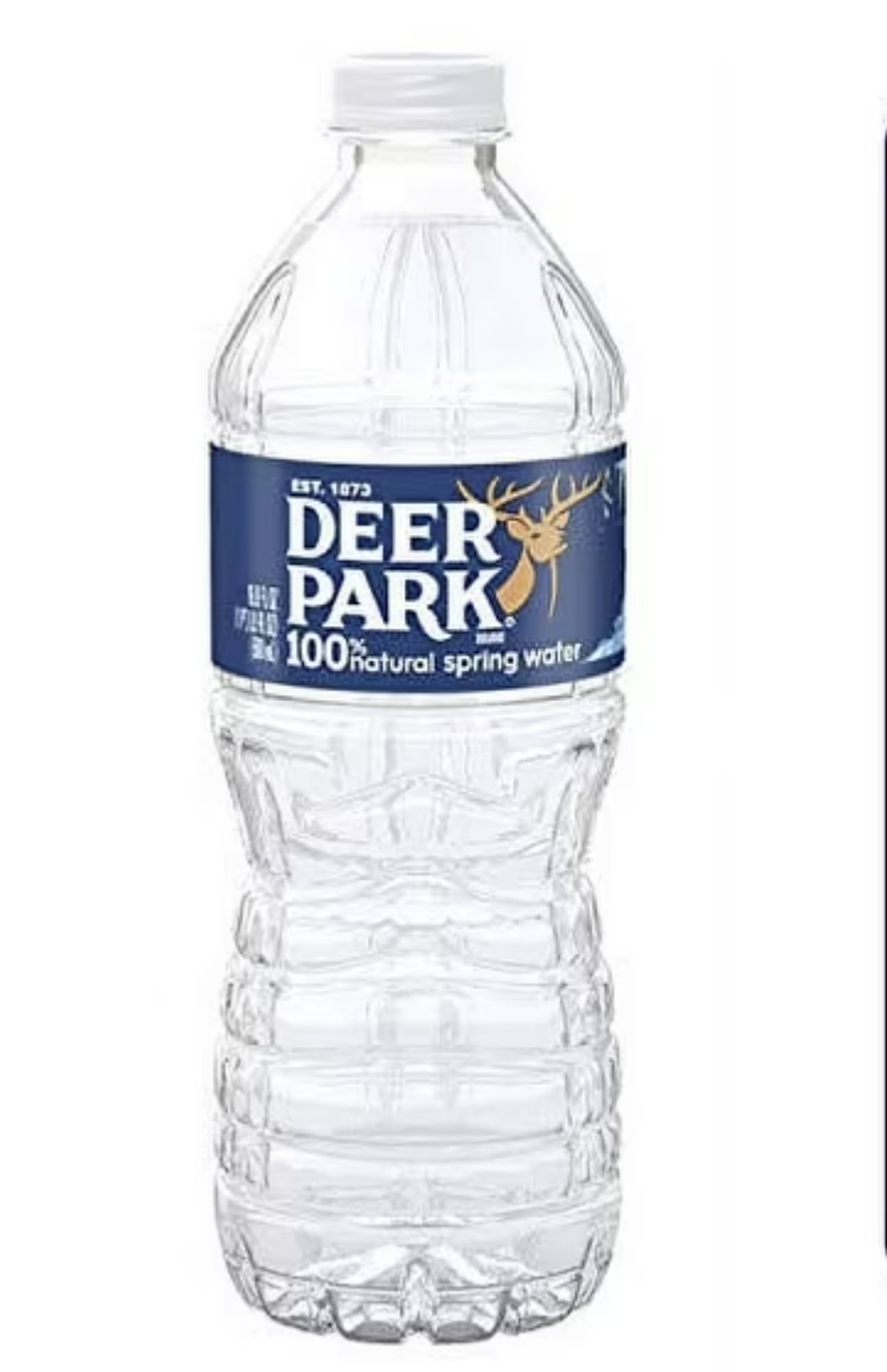 Water Bottle