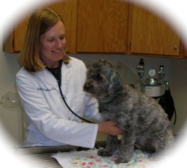 Fairfax Veterinary Clinic Photo