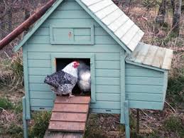 Chicken Coop Electrical Kit