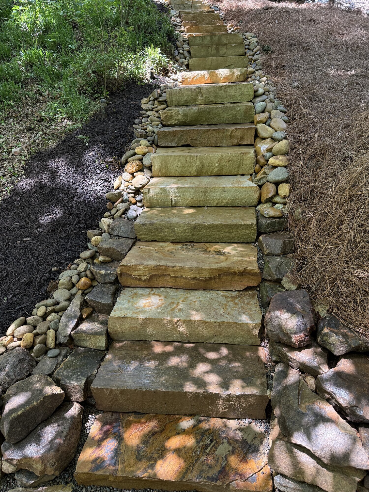 Fresh Start Landscape Image