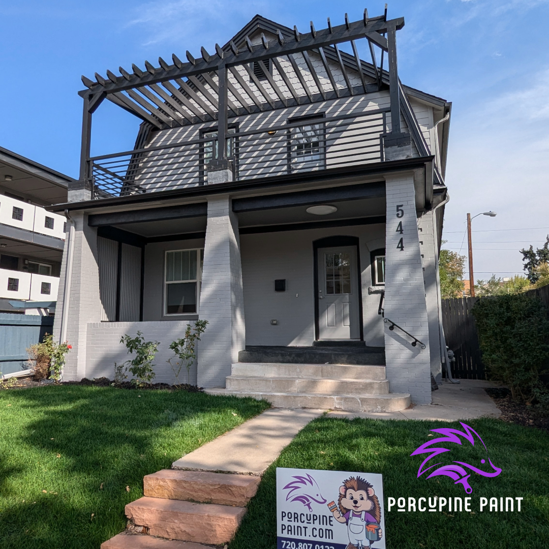 Porcupine Paint Image