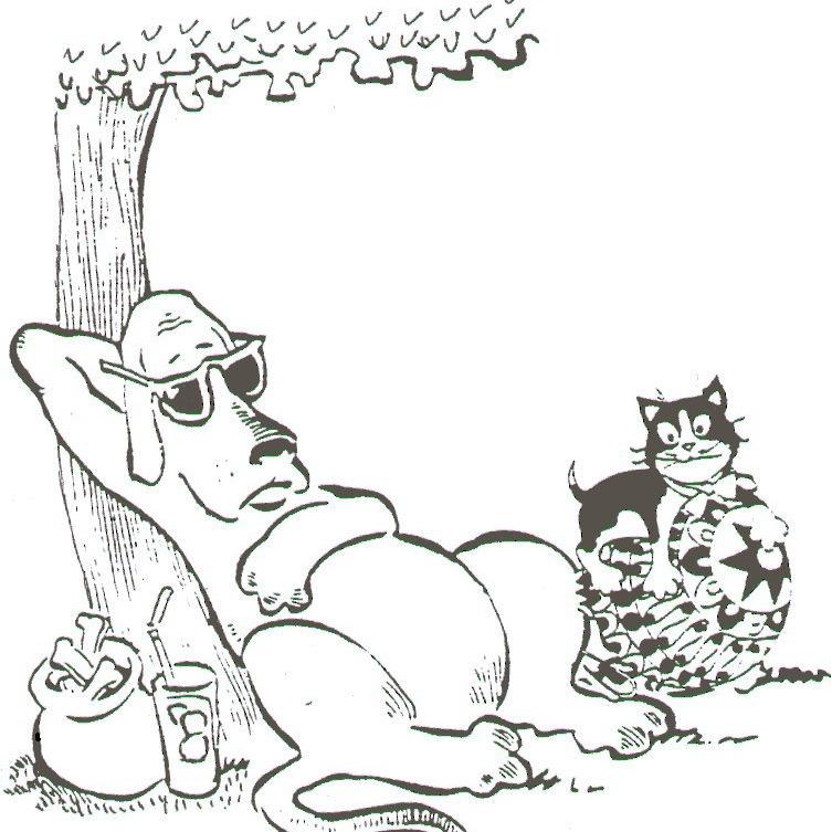 B and B Pet Palace Logo