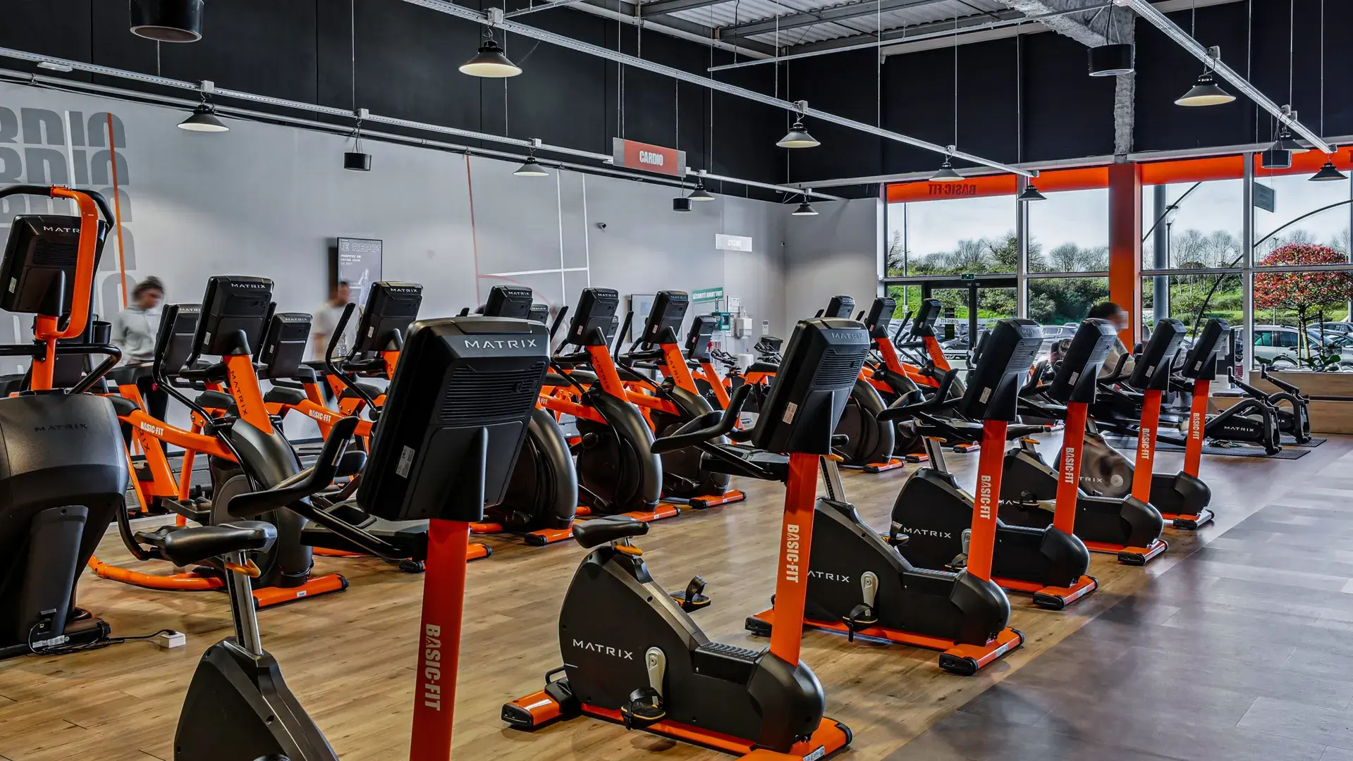 Miniature de la galerie