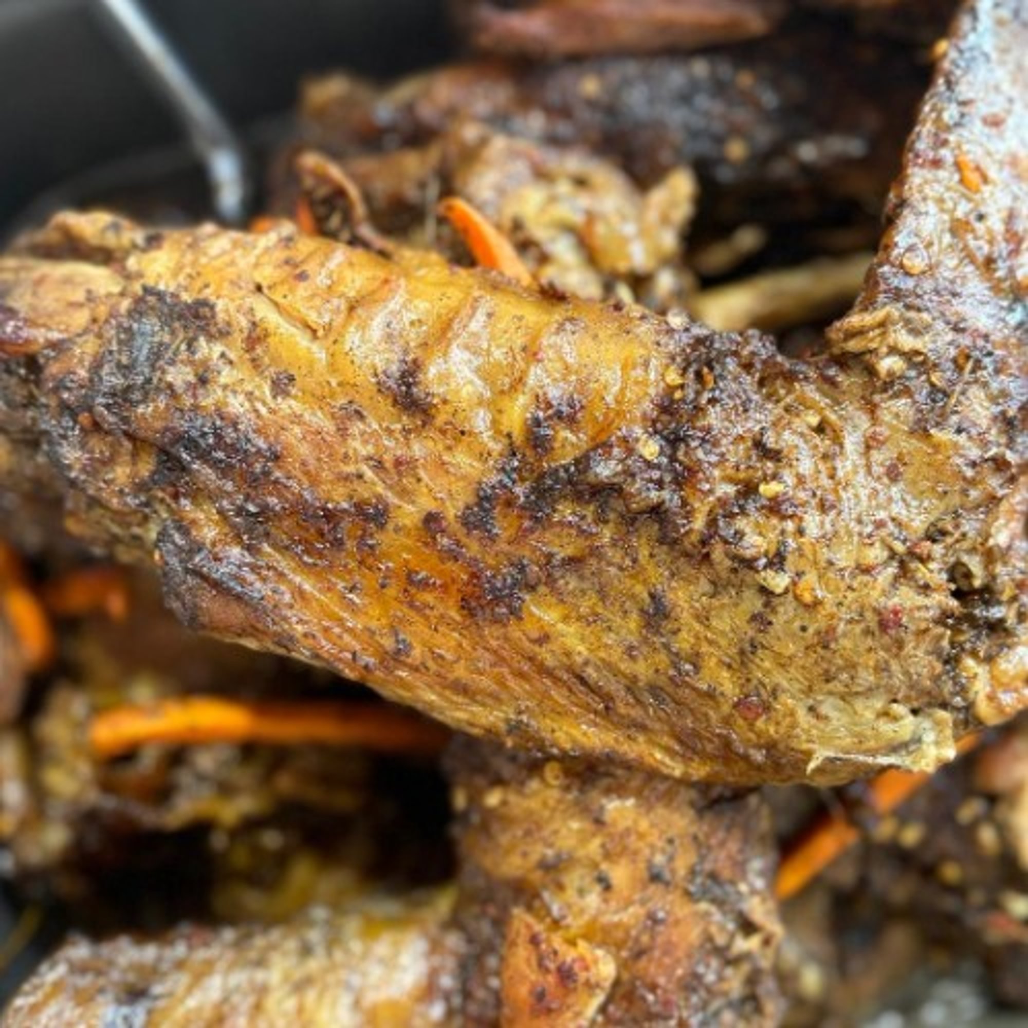 Turkey Wing