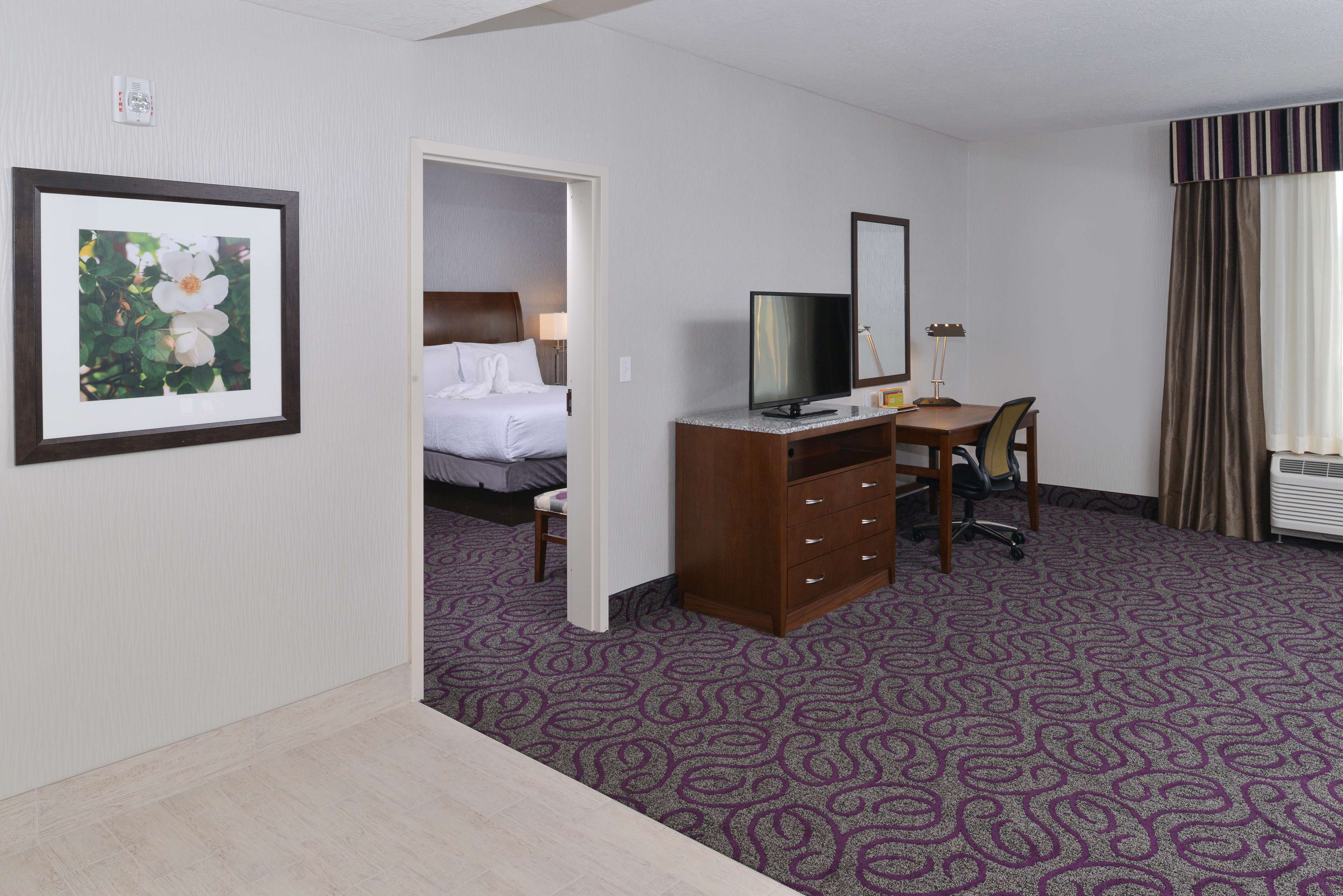 Hilton Garden Inn Hobbs Photo