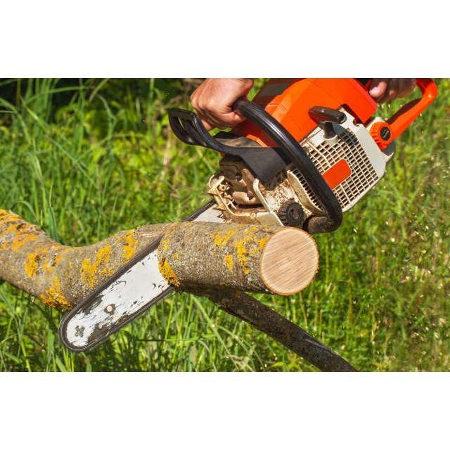 Danny's Tree Service Logo