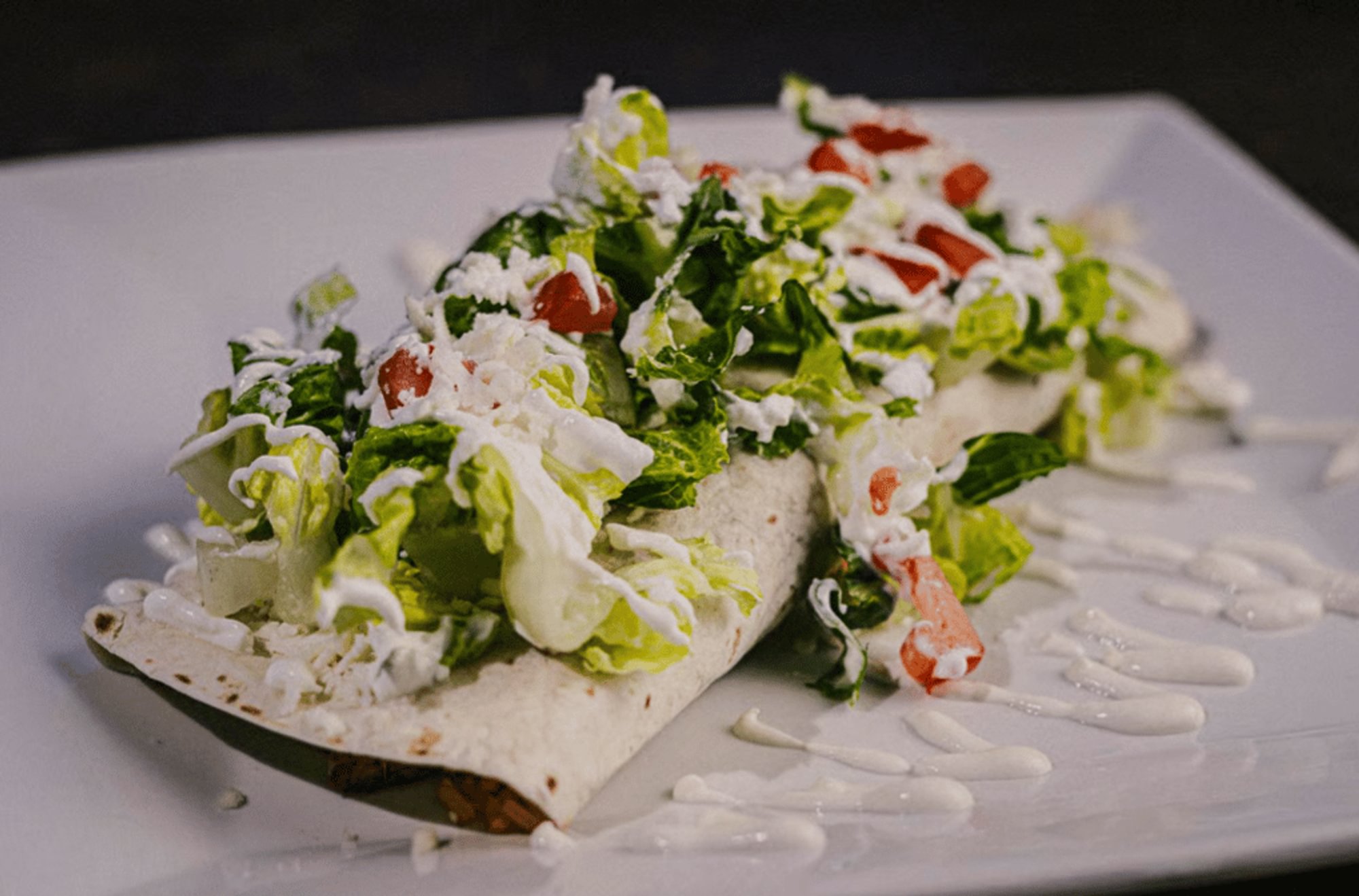 Casa Grande Burrito