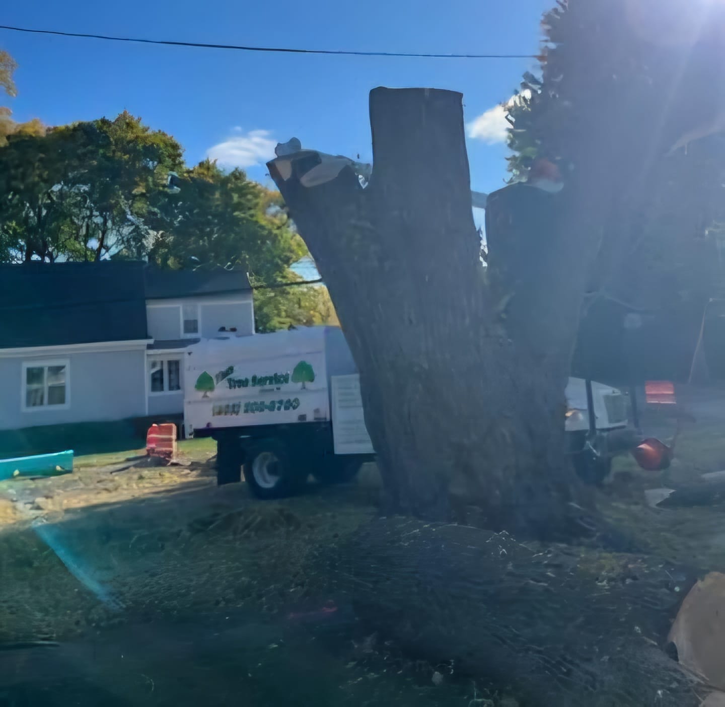 Tim's Tree Service Image