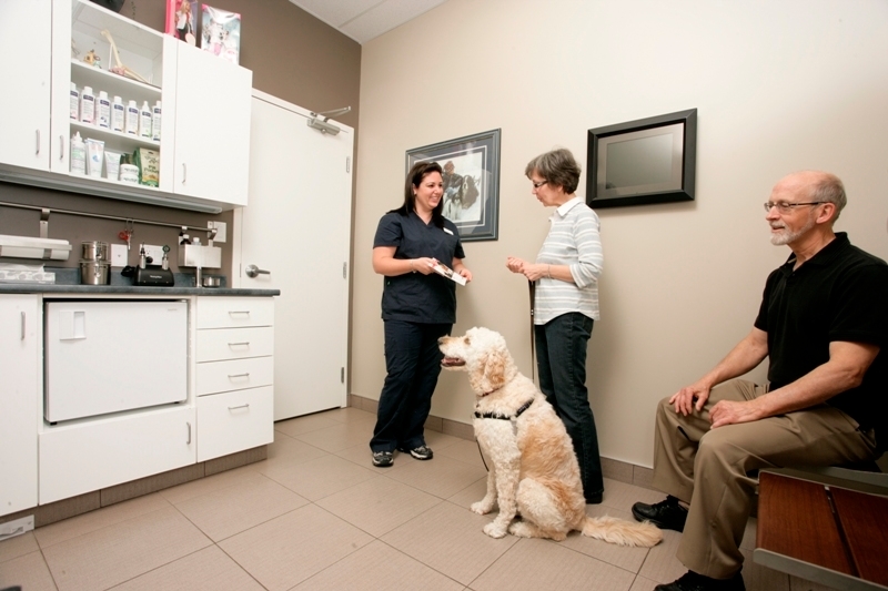 Mountainview Animal Hospital, ON Ourbis