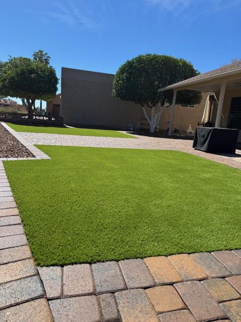 Waterloo Turf Scottsdale Image