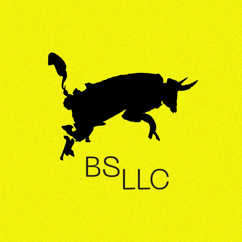 BS LLC Branding Firm | Brand Strategy, Business Strategy, & Design Photo