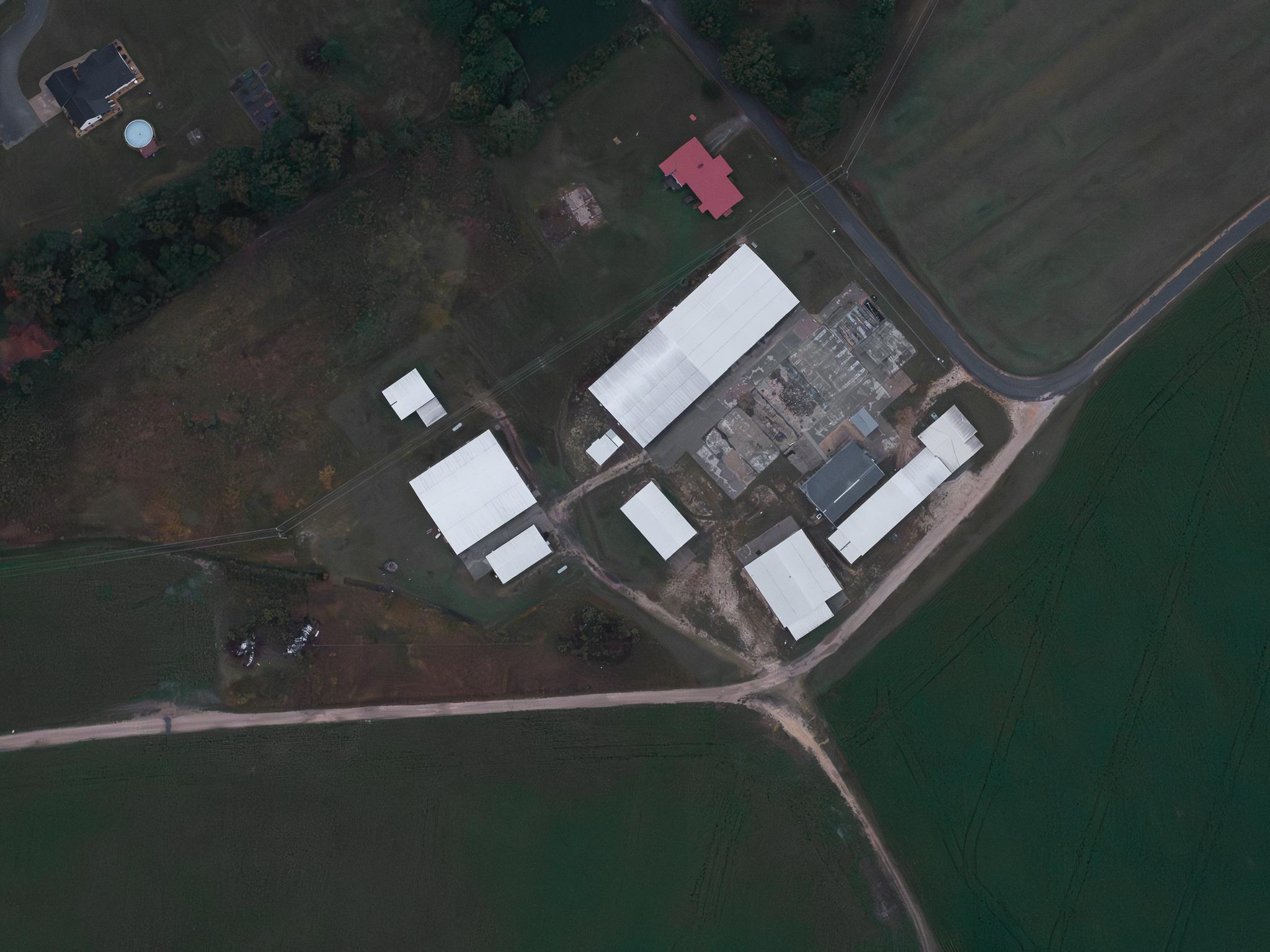 Carolina Crickets Image