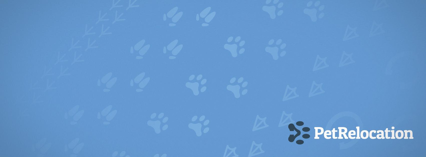 Pet Relocation Image