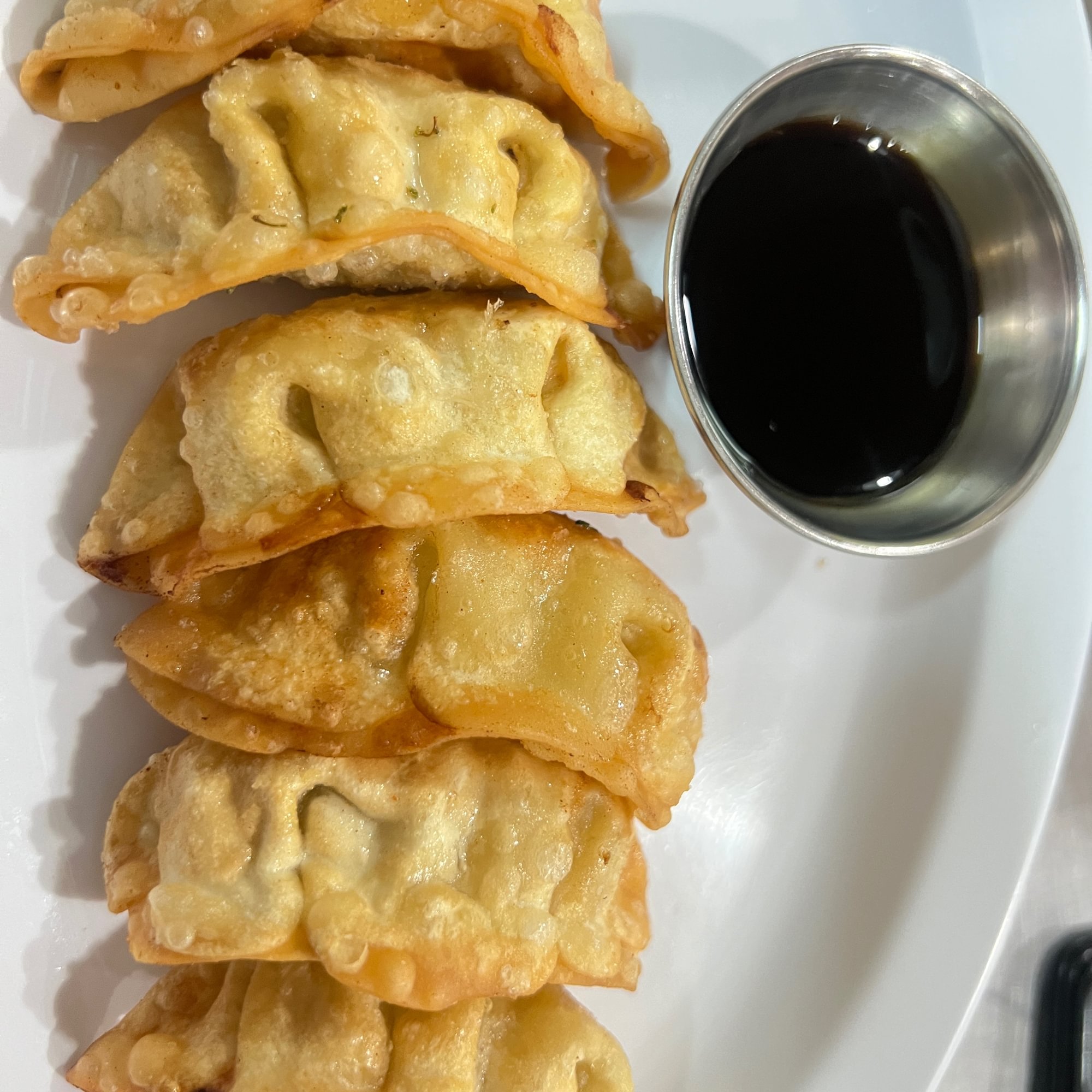 Fried Chicken Dumplings (6)