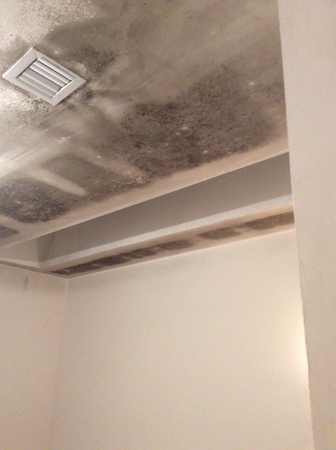 Images SERVPRO of Miami Beach