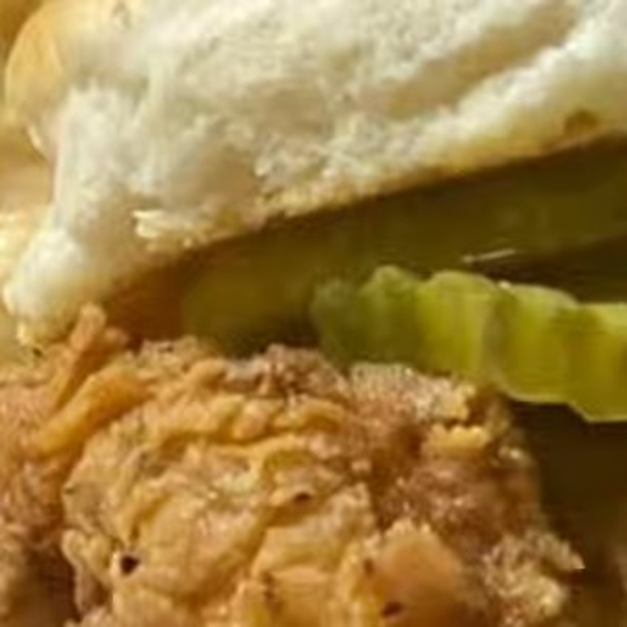 Chicken Sliders Sandwich