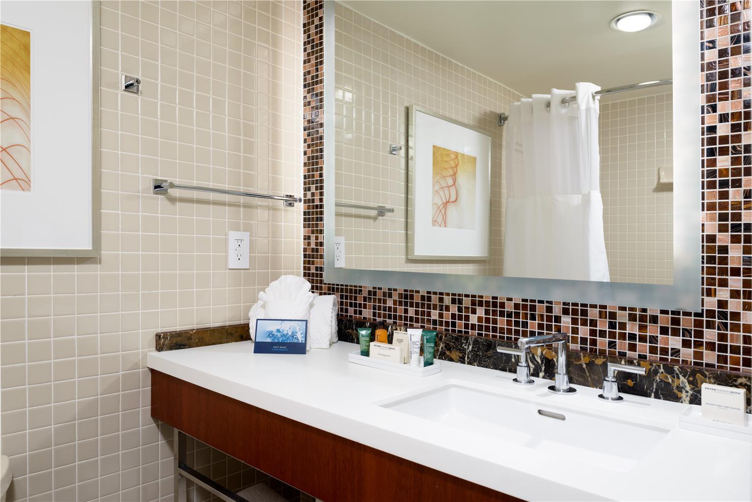 DoubleTree by Hilton Washington Dulles Airport Image