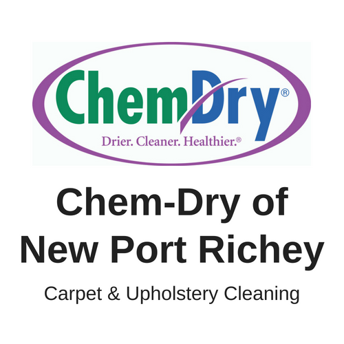 Chem-Dry Of New Port Richey Logo