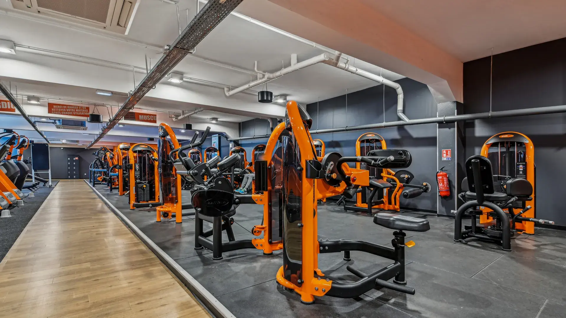 Miniature de la galerie