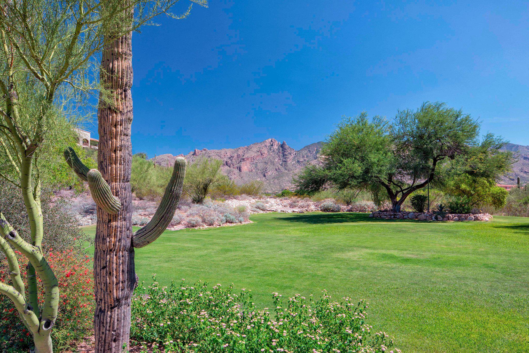 The Westin La Paloma Resort & Spa Photo