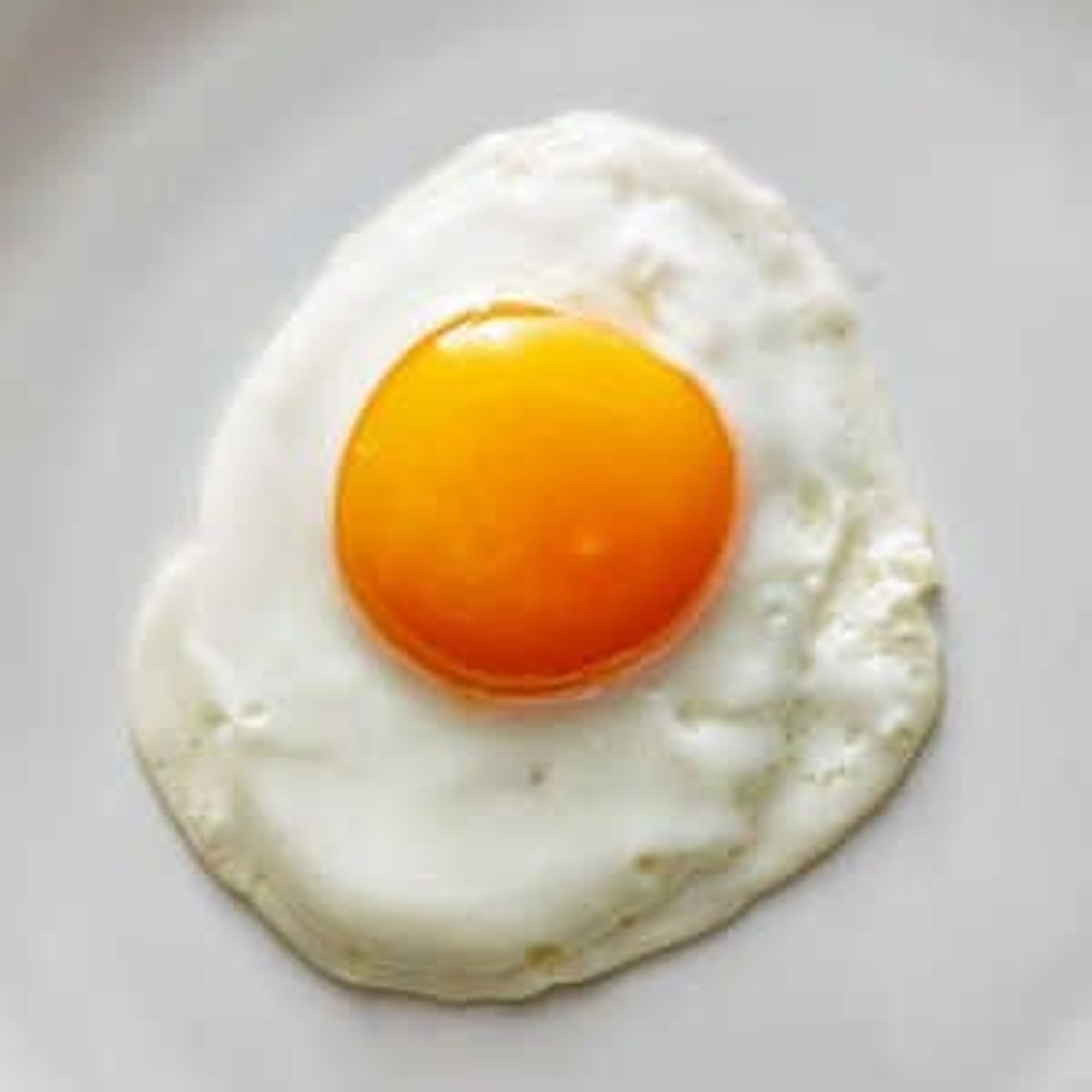 1 Egg