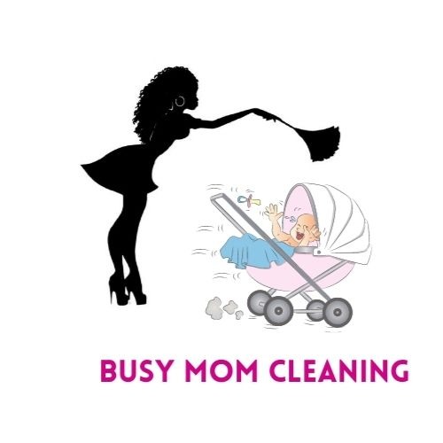 Busy Mom Cleaning Logo