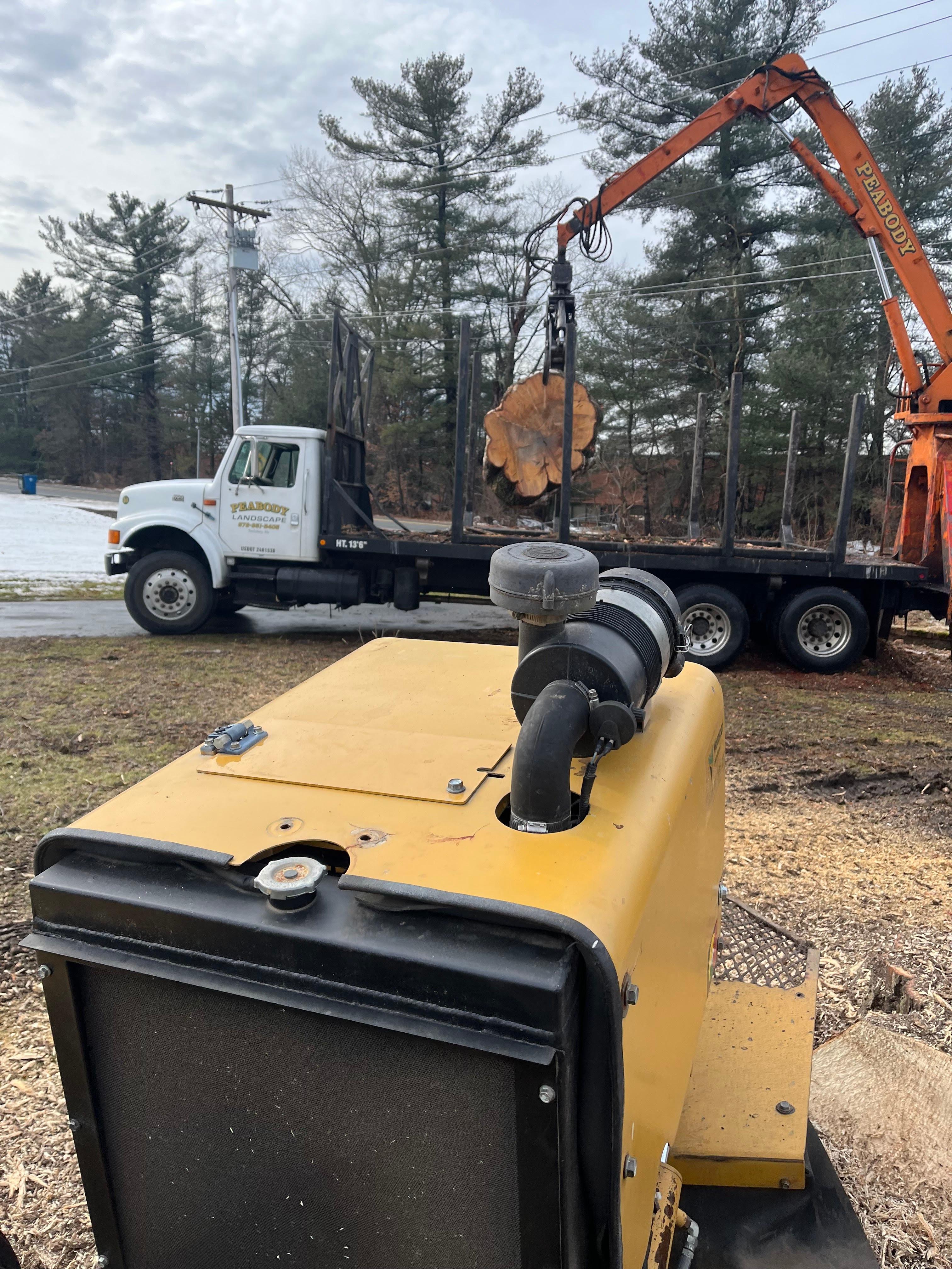 McDonald Tree Service Image