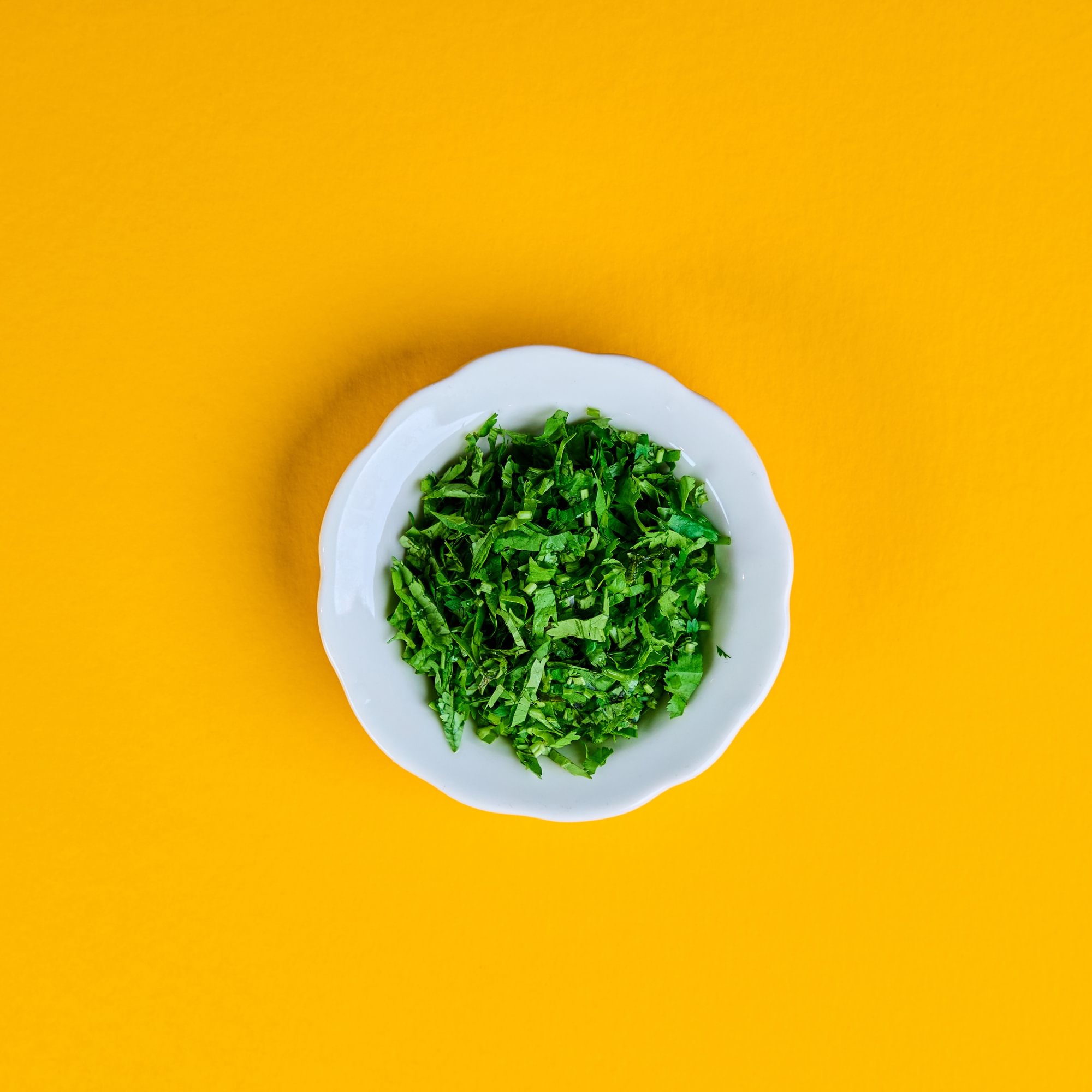 Cilantro