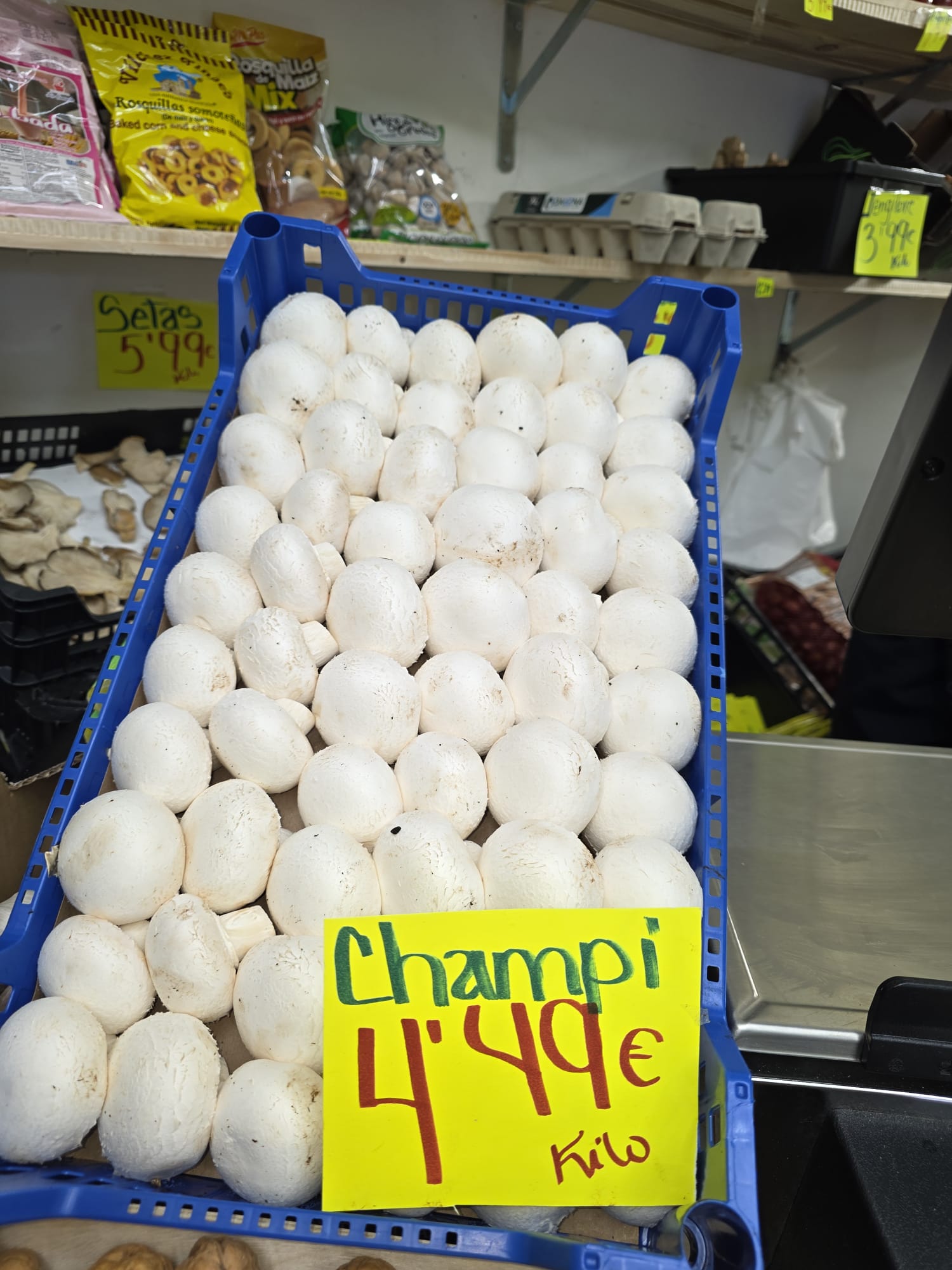 Galería en miniatura