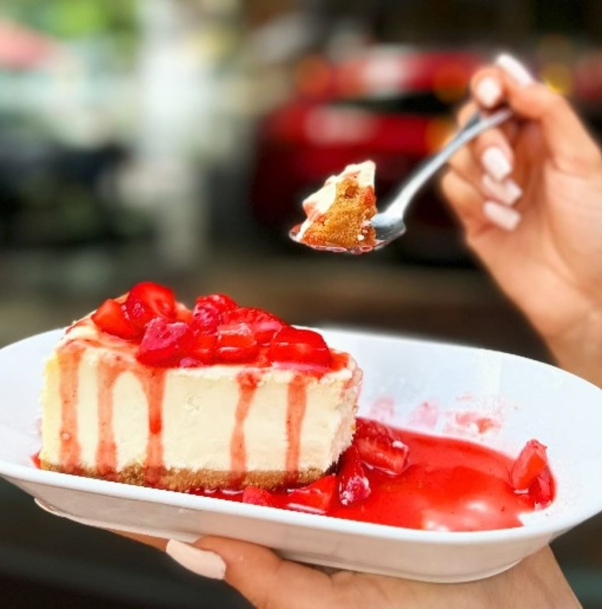 Cheese Cake