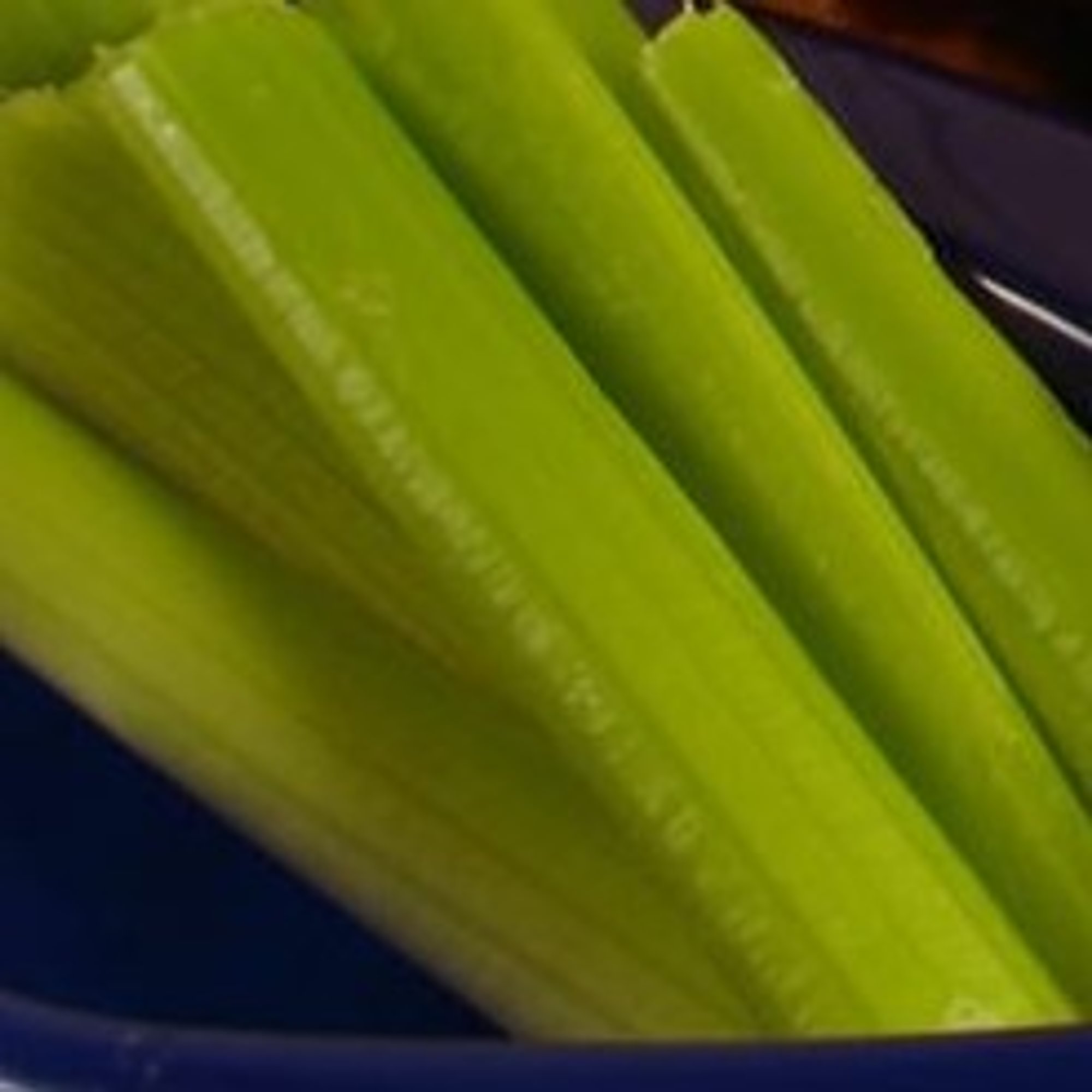 Extra Celery