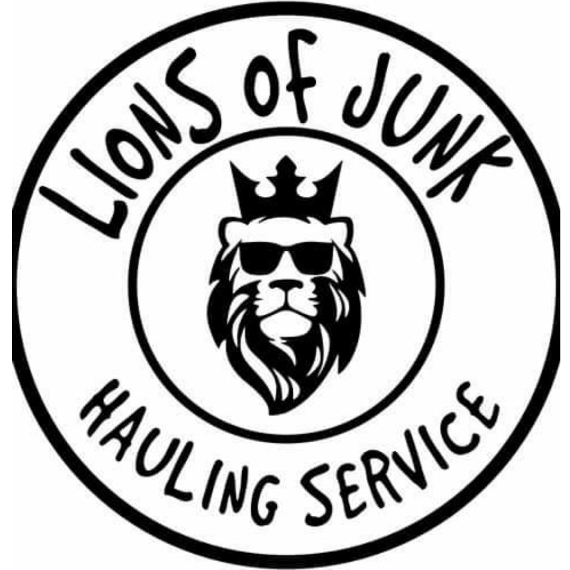 Lions of Junk Photo