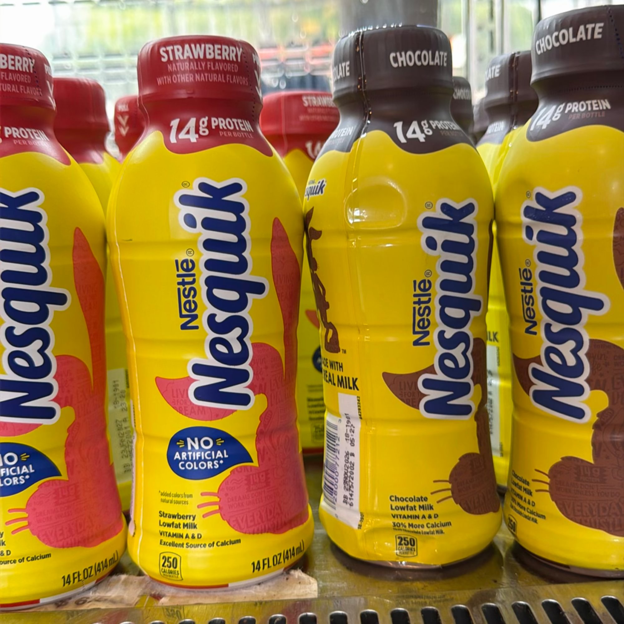 Nesquilk