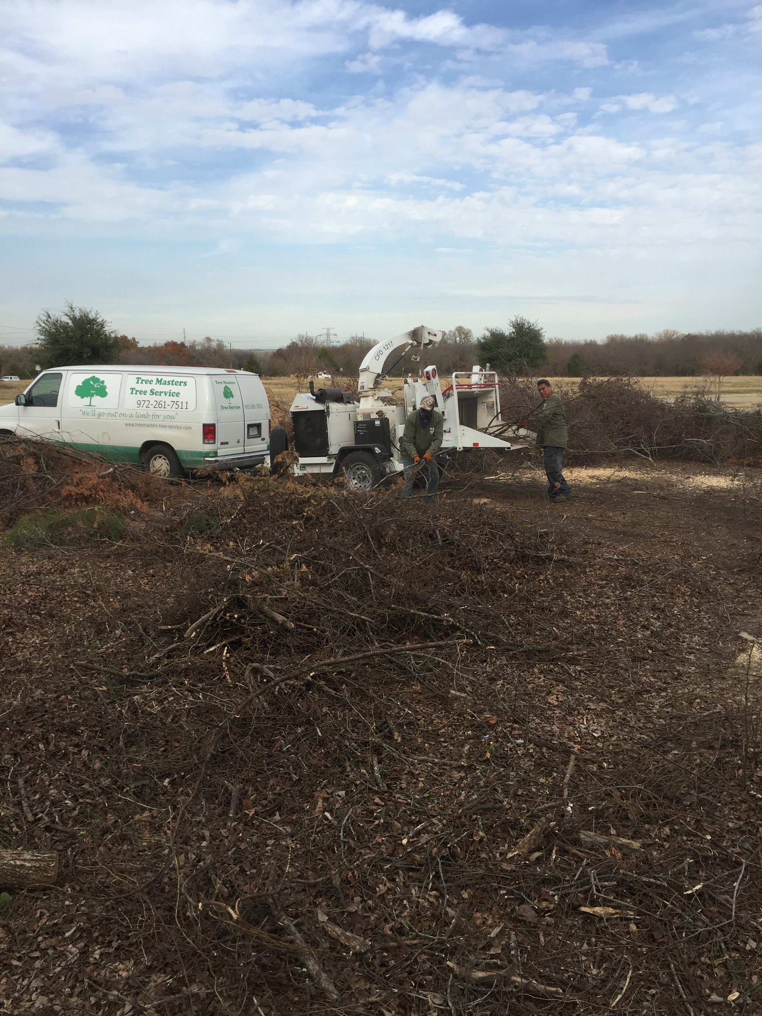 Tree Masters Tree Service Image