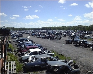 Gallery thumbnail