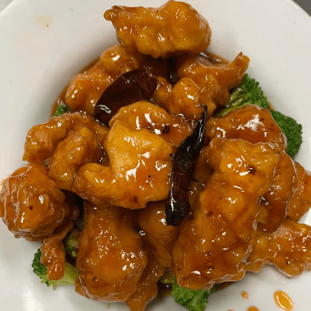 General Tso's Chicken Special
